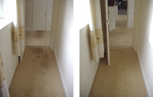 hallway carpet before and after cleaning