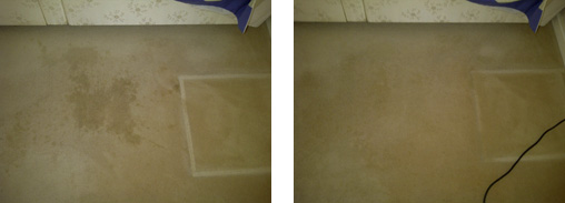 coffee stain before and after cleaning