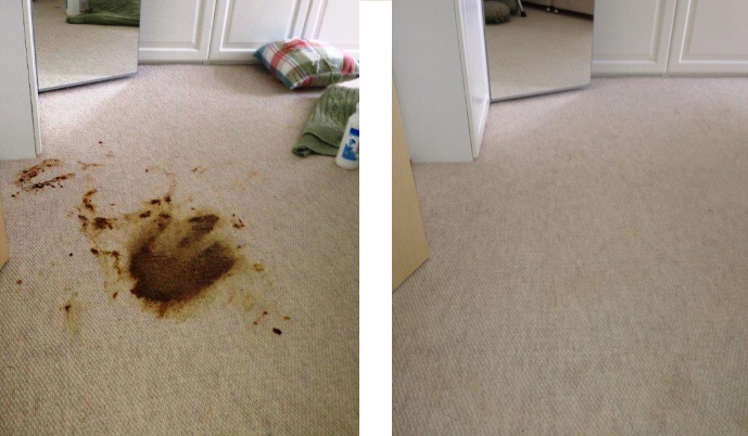 vomit stain before and after cleaning